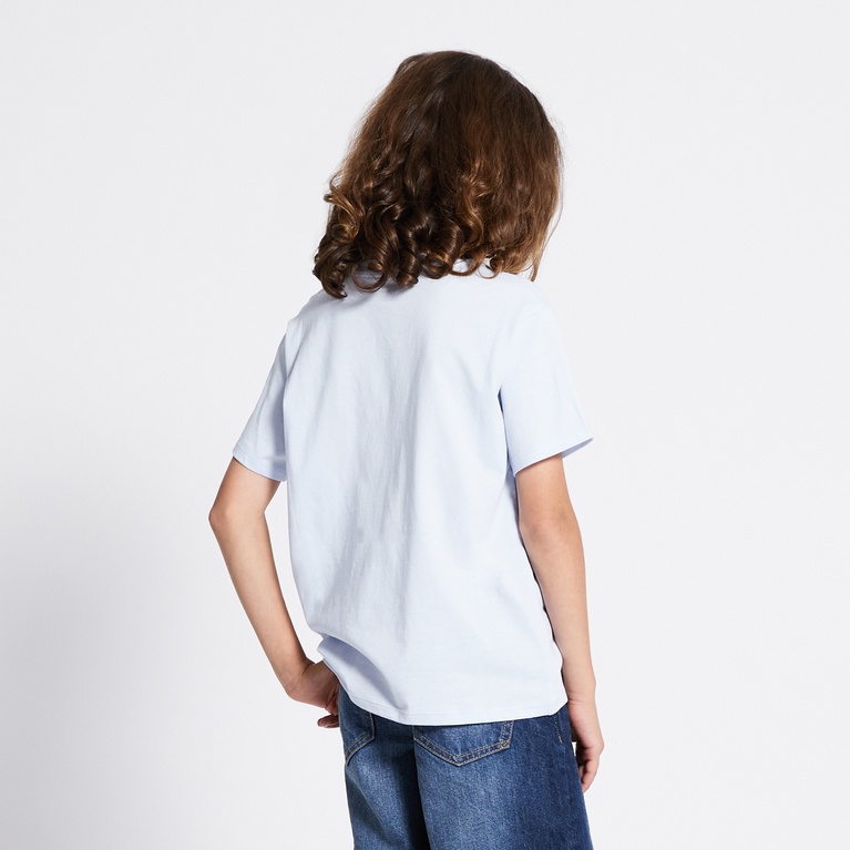 Printed tee "Dusty star" Blue 4
